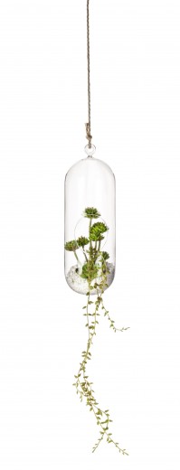 Bubble High Felfüggeszthető Üveg Dekoráció Növényekkel, Átlátszó / Zöld, Ø12,6xM31 cm