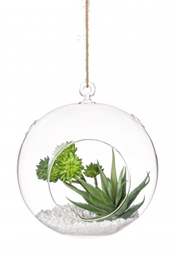 Bubble Roung Felfüggeszthető Üveg Dekoráció Növényekkel, Átlátszó / Zöld, Ø20,5xM21 cm