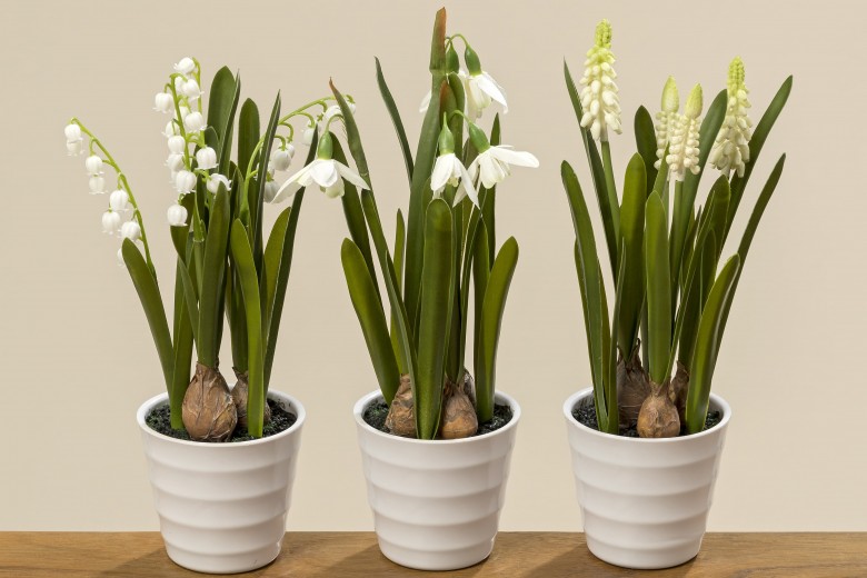 Spring Flowers Cserepes Műnövény, Fehér / Zöld, Különböző Modellek, M28 cm