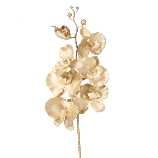 Műág, Orchid Arany, M80 cm