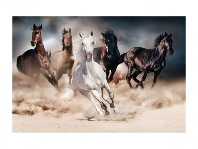 Üvegkép Horses, 120 x 80 cm